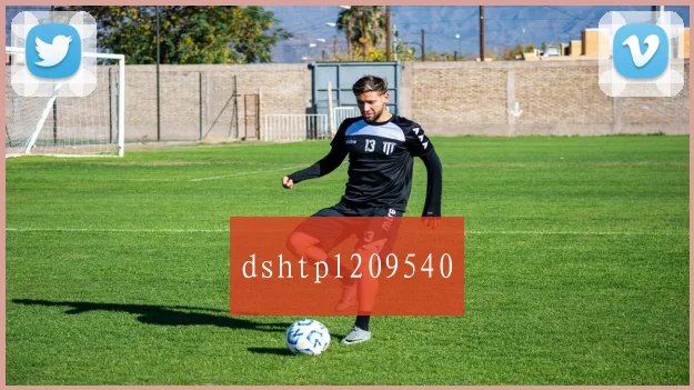 dshtpl209540