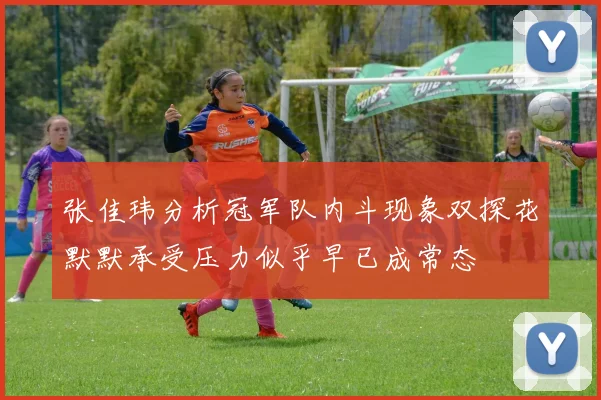 张佳玮分析冠军队内斗现象双探花默默承受压力似乎早已成常态