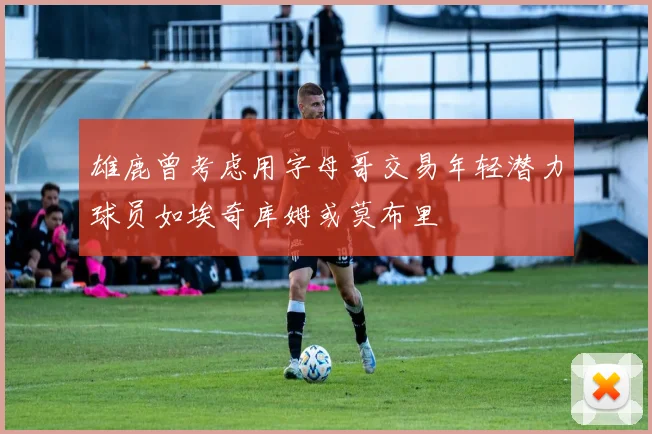 雄鹿曾考虑用字母哥交易年轻潜力球员如埃奇库姆或莫布里